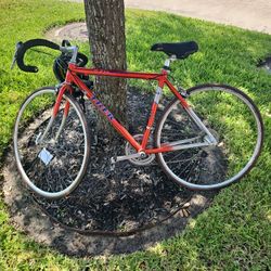 Vintage Race Bicycle All Original