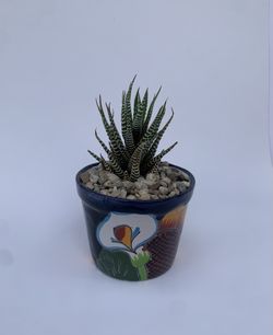 Talavera Pot