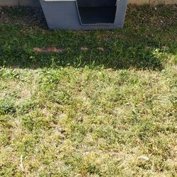 Dog House 