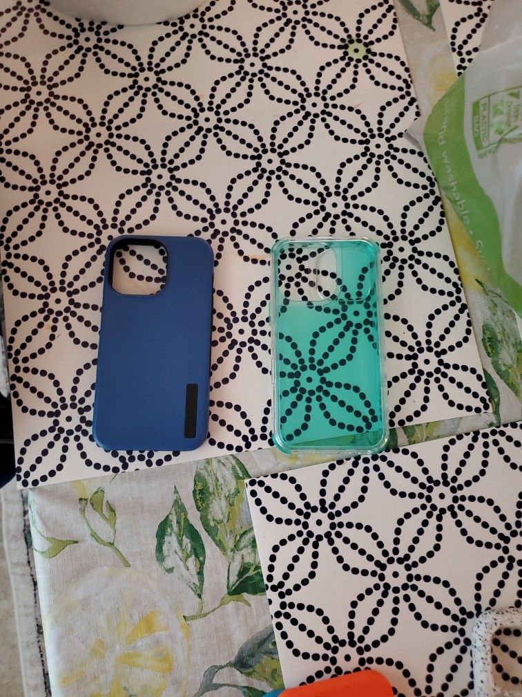 13 Pro Cases New