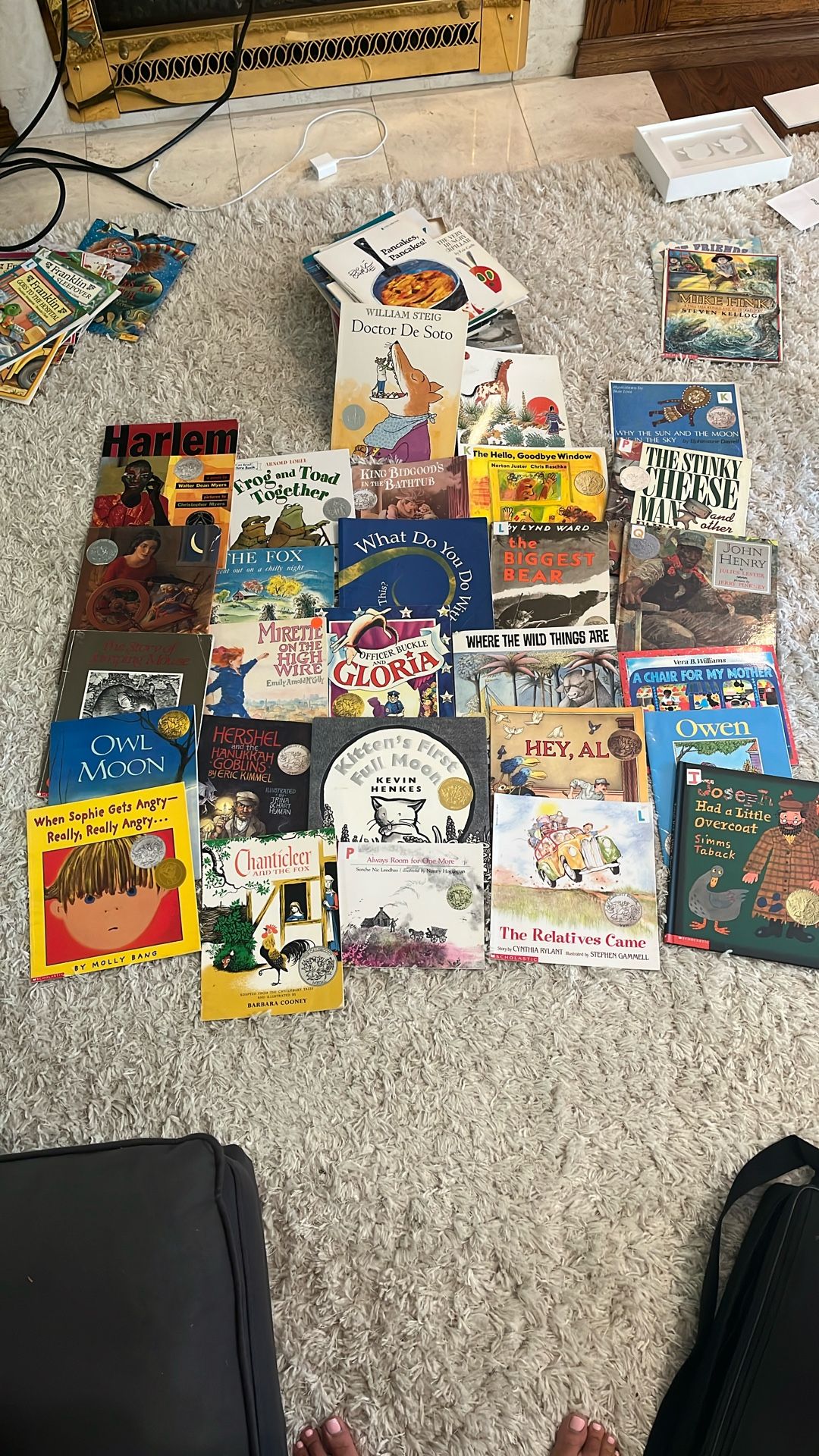Caldecott Picture Books For Toddler And Kids - 28 Books