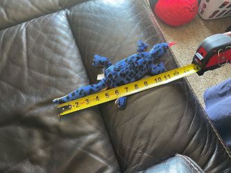 Baby lizzy the lizard