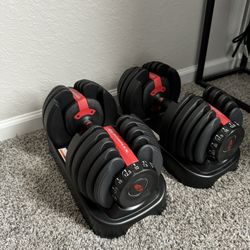 Bowflex 552 adjustable Dumbbells And Stand