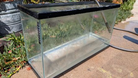 20 gal aquarium fish tank terrarium good condition reptile enclosure