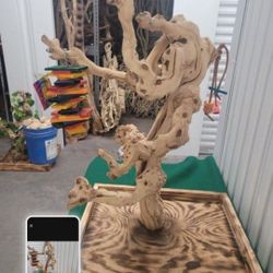 Bird Or Retile Perches