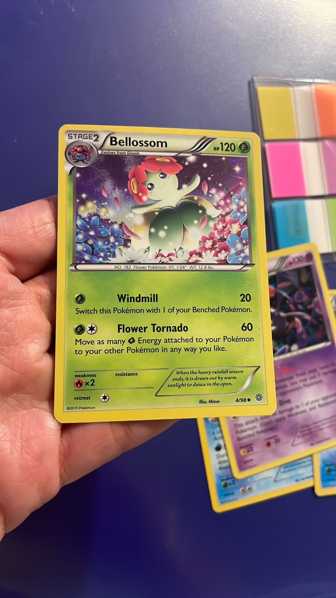 bellossom 4/98