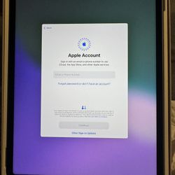 iPad Pro 12.9 Inch 128gb 