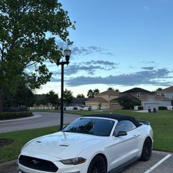 Ford Mustang Ecoboost 2019 
