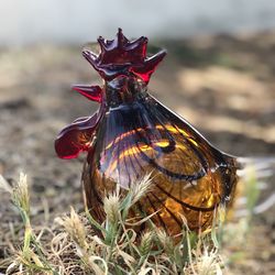 Murano glass rooster