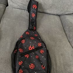 New Ladybug Backpack/Side Packs