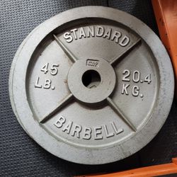 Exercise Olympic Weights 45lbs X 2
