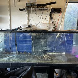 180 Fish Tank Aquarium 
