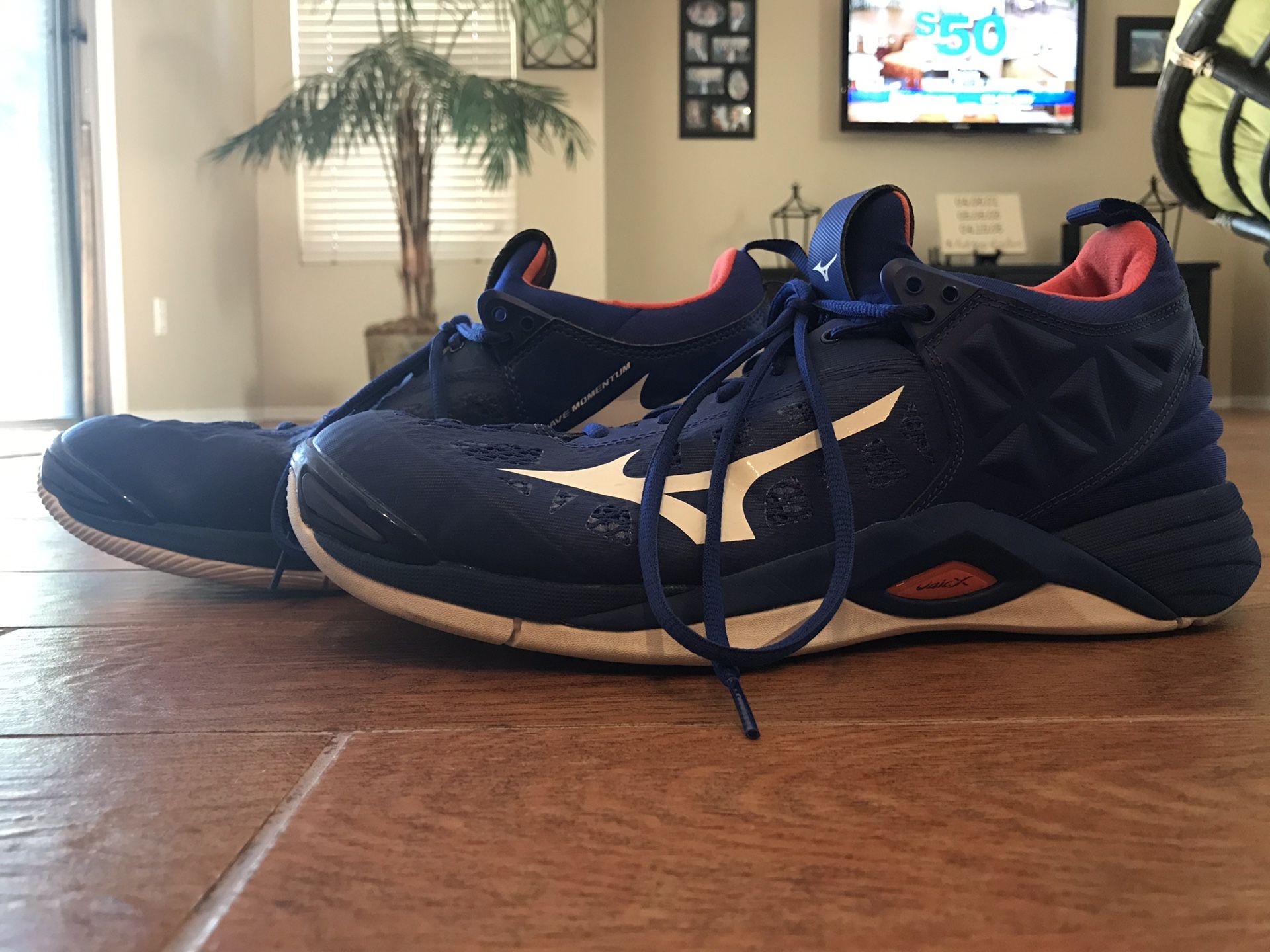 Mizuno wave momentum volleyball shoes