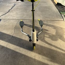 Flicker Pro Scooter 