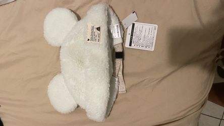 Tokyo Disney hat