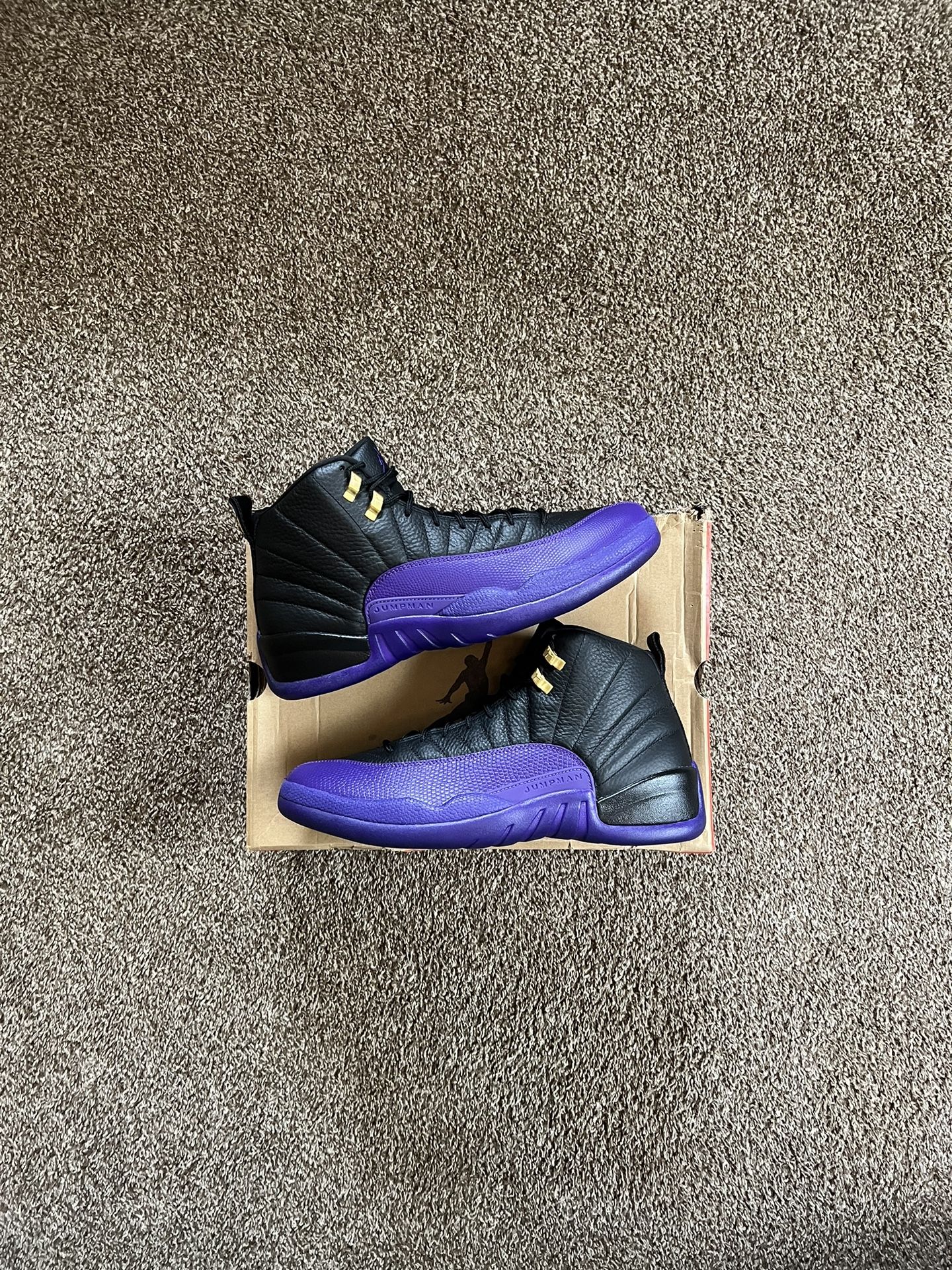 Jordan 13 Field Purple Size 13