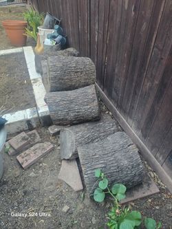 firewood free