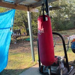 Punching Bag 