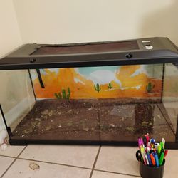 Aquarium ...South Tampa