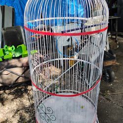 Colorful 5'bird Cage