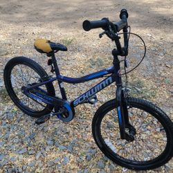 Schwinn 20" Kids Bike - Used