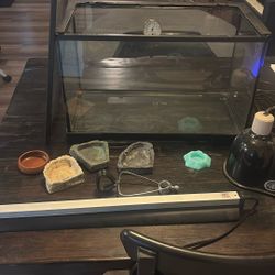 Reptile Tank And Accessories 