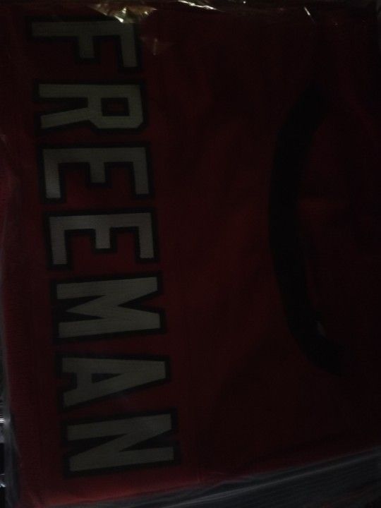 Devonta Freeman Signed ATLANTA Falcons Jersey