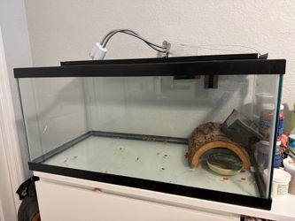 Tank