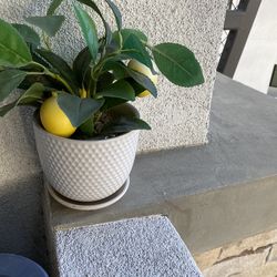 Artifical Fruit Plants Lemon Pomegranate