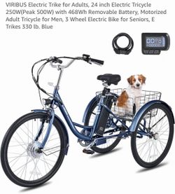 Electric bike