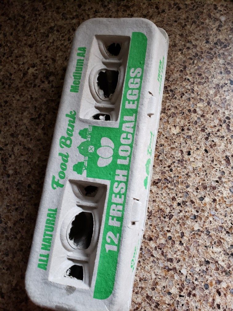 pulp egg carton