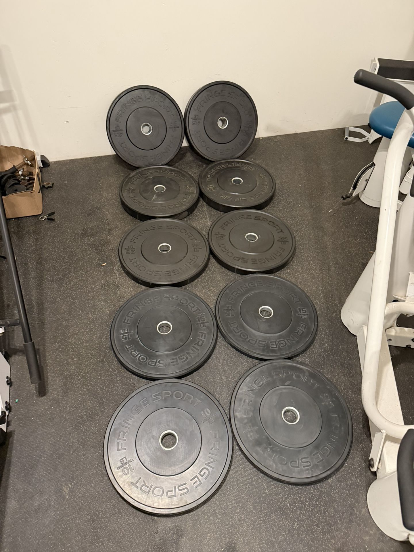 Fringe Sport Olympic Plate Set