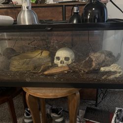 Complete Bioactive Tank, Lighting, Zoo Med Control Center