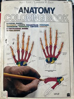 Anatomy Coloring Book