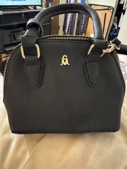 Steve Madden Purse