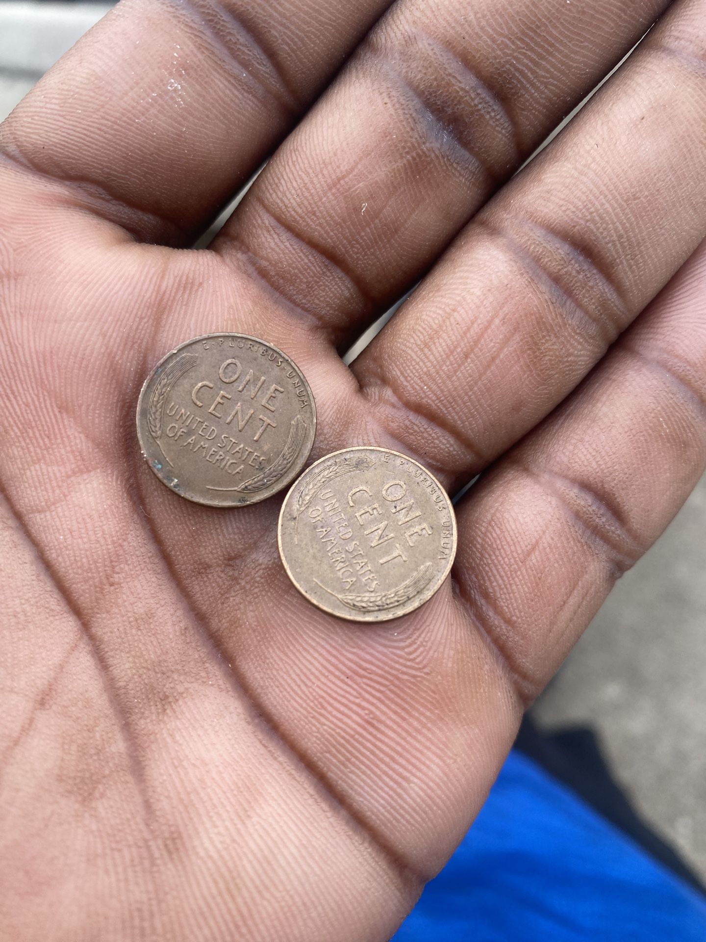 1950 Wheat Pennies