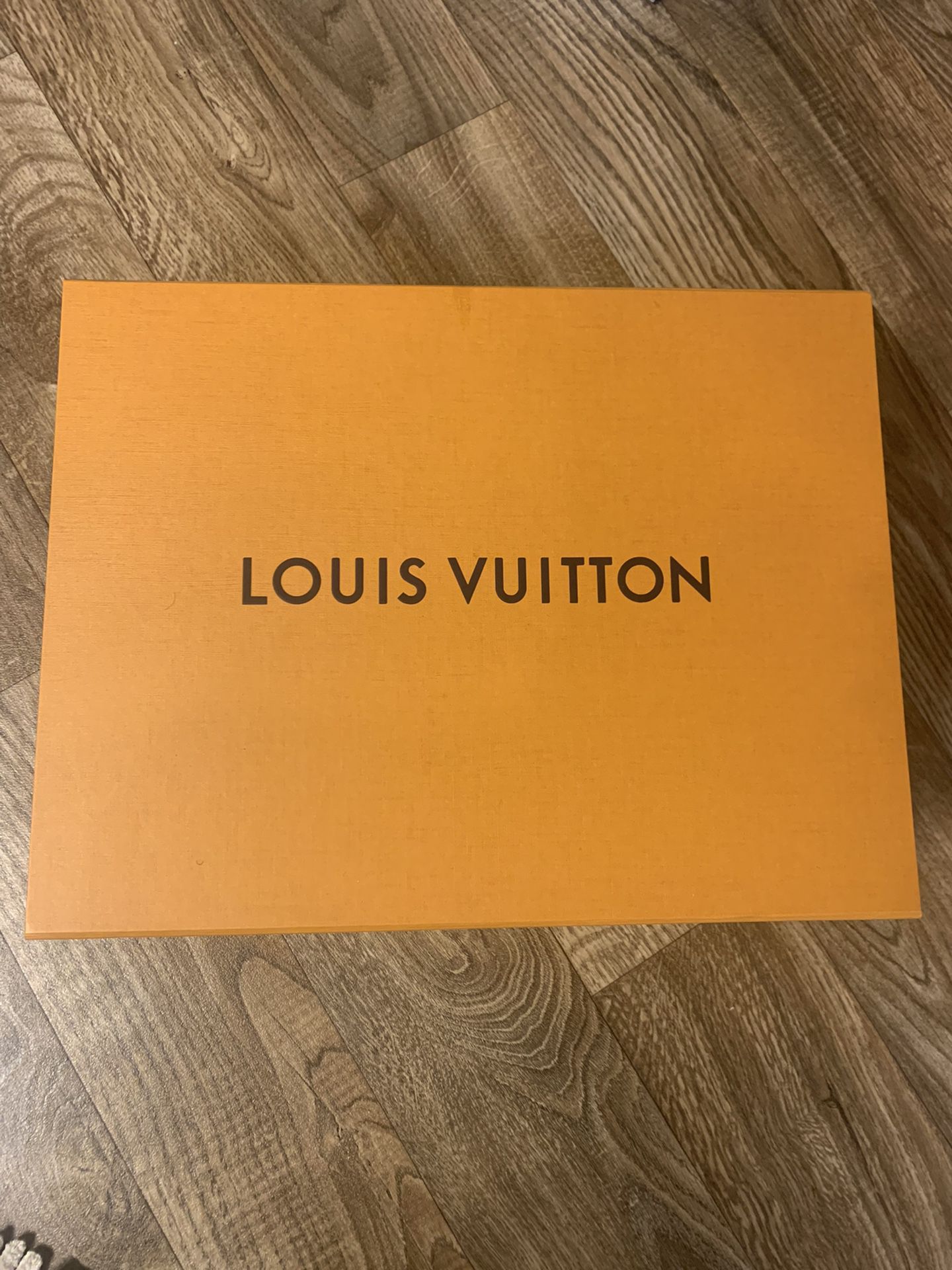 Authentic Louis Vuitton Runners 