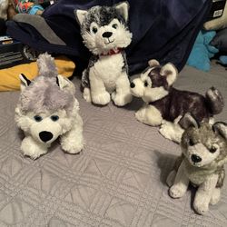 Dog Plush 
