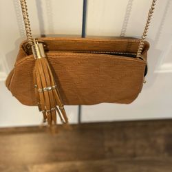 Brown Purse 