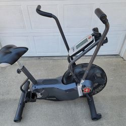 Schwinn Airdyne AD6 - Fan Bike