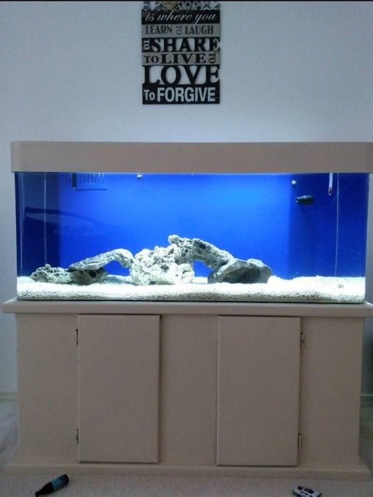 80 Gal Fish Tank W/ Stand
