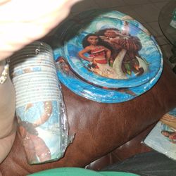 Moana Party Supplies 2 Plates 2 Cale Plates 1 Napkin   And 20 Cups