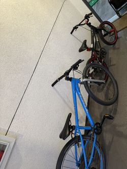 Bike Two Of Them For $100