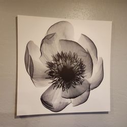 Black and White Flower Canvas Art, Wall Art, Home Decor