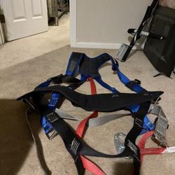 Werner Harness For Sale 