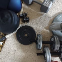 Standard Weights And Bars