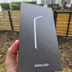 Samsung Galaxy S25+, 256 Gb, Silver Shadow