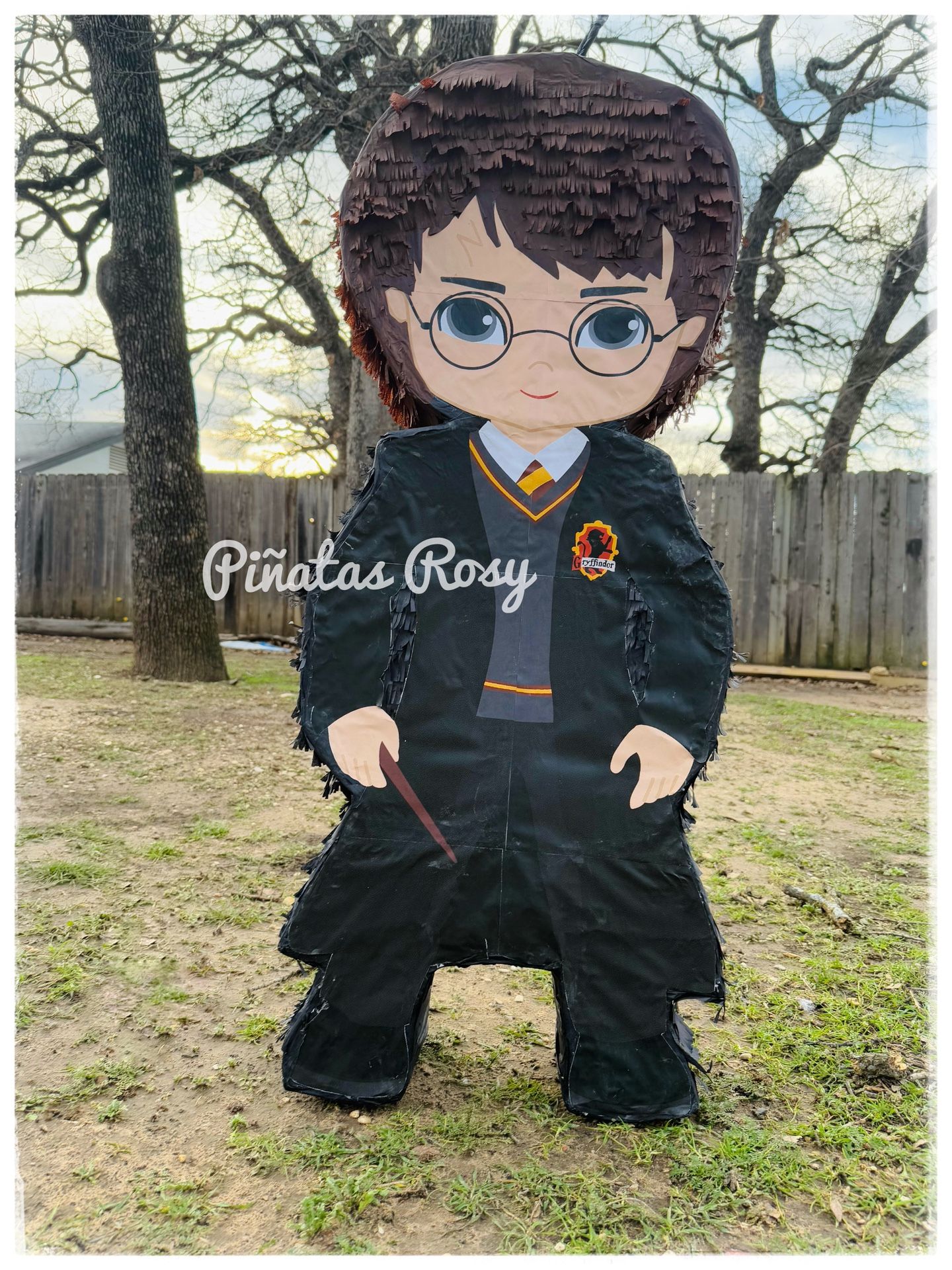 Harry Potter Pinata πͺ