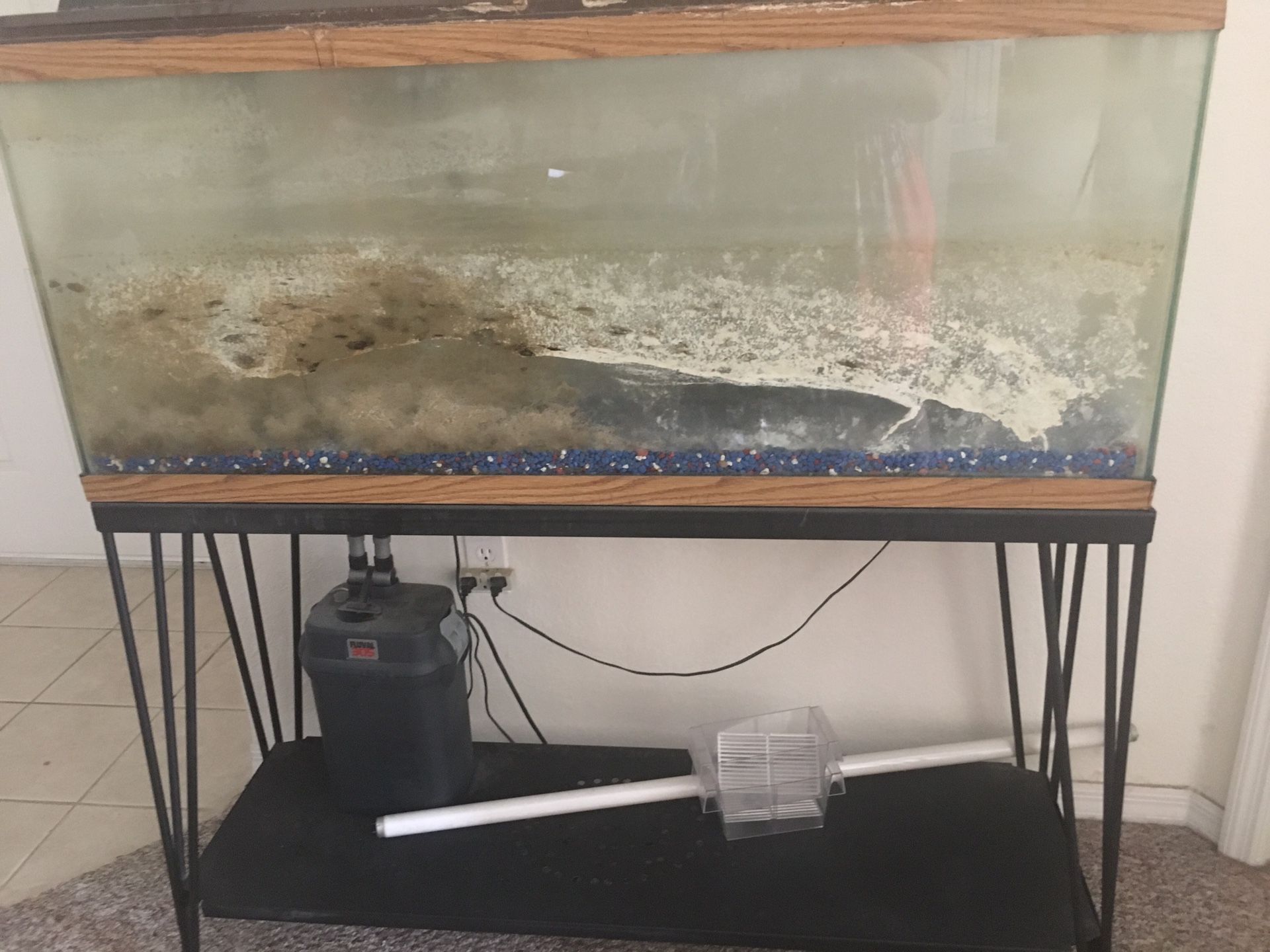 6 FREE Aquariums - all hold water, just need to be cleaned