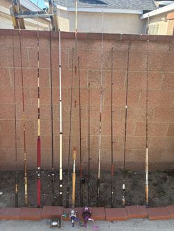 Heavy Action-Light Action Fishing Rods